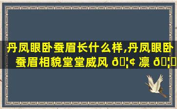 丹凤眼卧蚕眉长什么样,丹凤眼卧蚕眉相貌堂堂威风 🦢 凛 🦟 凛